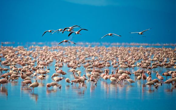Rendez-vous... en Tanzanie