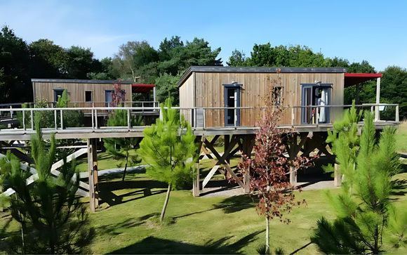 Vos appartements