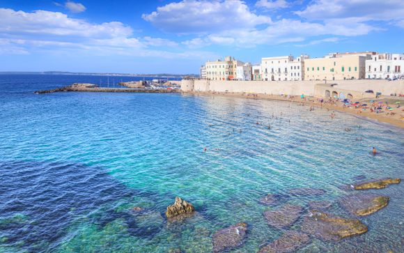 Zoom sur votre programme