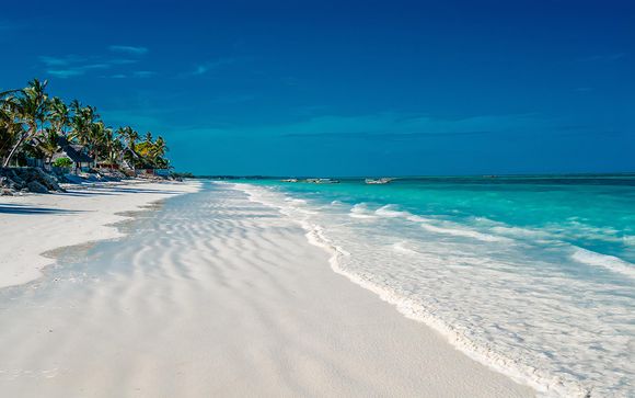 Rendez-vous... en Tanzanie