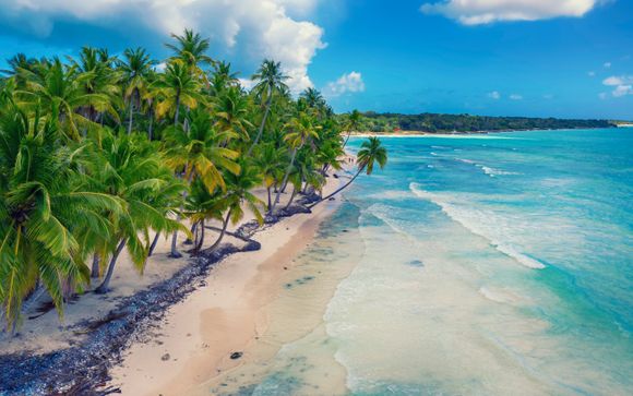 Saona classique