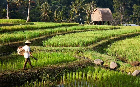 Rendez-vous... à Bali