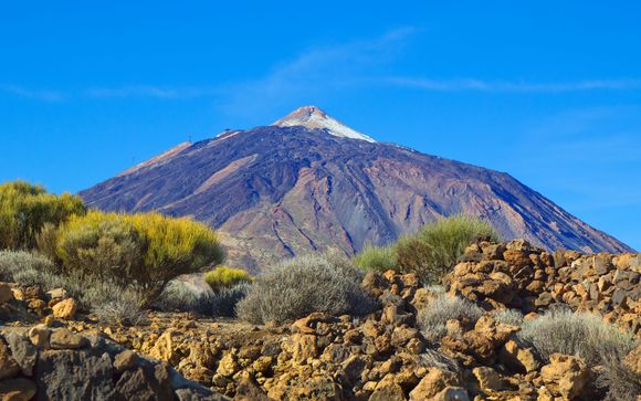 Et pour aller plus loin...