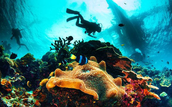 Îles tropicales et nature sauvage