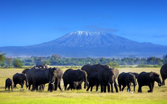 Zoom sur votre Safari
