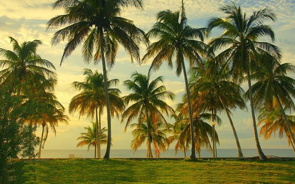 Suivez-nous... à Cuba
