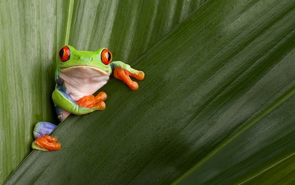 Zoom sur votre programme Secrets nature