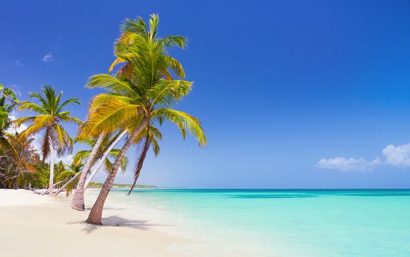 Hôtel Dreams Dominicus 5*