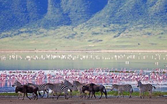 Rendez-vous... en Tanzanie