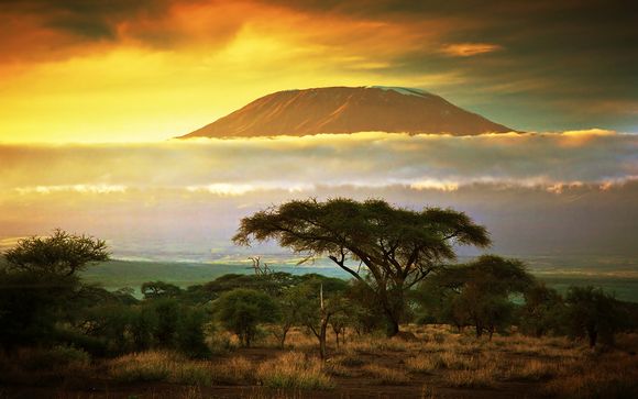 Circuit Splendeur du Kenya et extension balnéaire possible