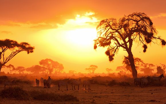 Zoom sur votre programme Splendeur du Kenya - 7 jours/6 nuits