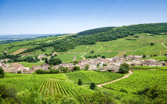 Ermitage de Corton