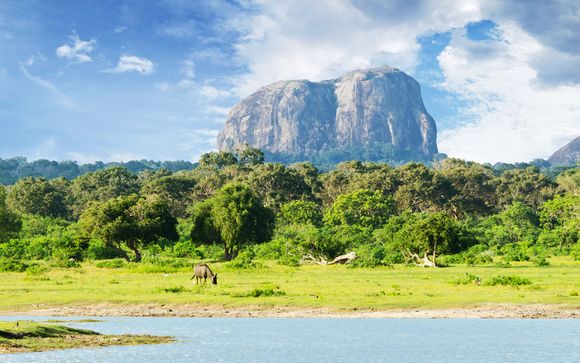 Rendez-vous... au Sri Lanka et aux Maldives