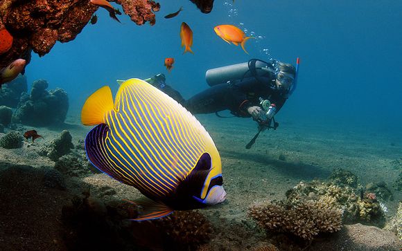 Et pour aller plus loin...