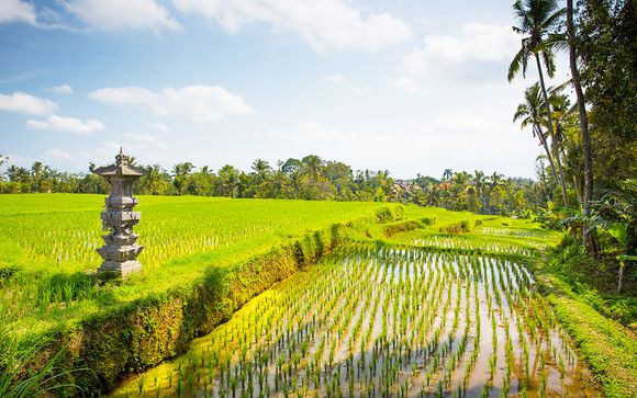Rendez-vous... à Bali