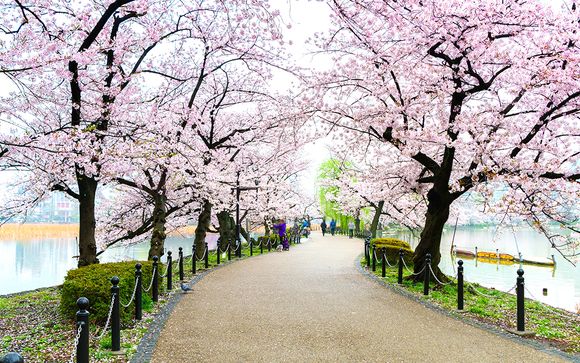 Circuit Les Trésors du Japon - 8, 10 ou 12 nuits - 3* ou 4*