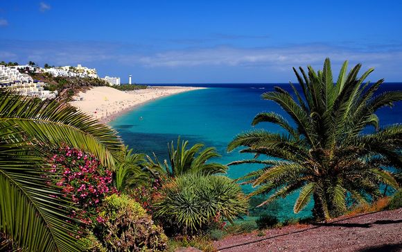 Votre excursion pour plus d