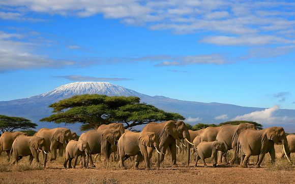 Circuit Combiné Tanzanie et Zanzibar - 8 jours / 7 nuits