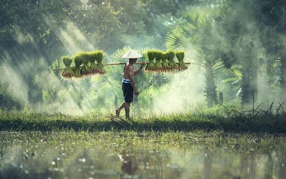 Rendez-vous... en Thaïlande