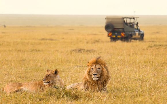 Rêve d'enfant de safaris en plage