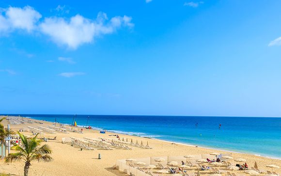 Vacances zen tout inclus entre dunes et océan