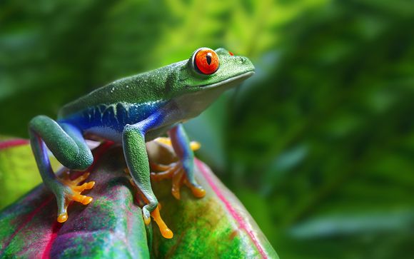 Nos petites astuces pour un séjour idéal