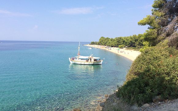 Vos excursions pour plus d