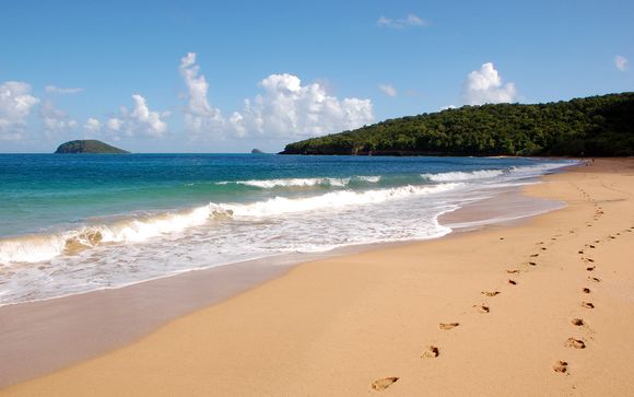 Le Manganao Hôtel Pointe à Pitre Jusquà 70 Voyage Privé
