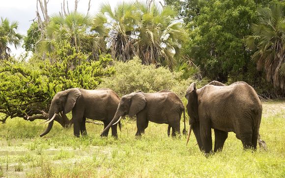 Zoom sur votre safari de 2 nuits possible (offre 2)
