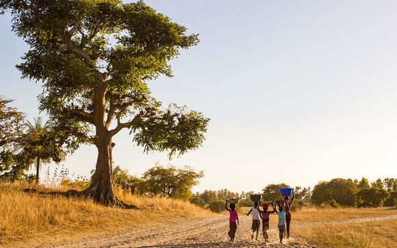 Circuit Sine Saloum et marche avec les lions