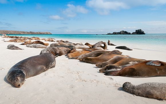 Circuit Découverte de l'Équateur et des Galapagos
