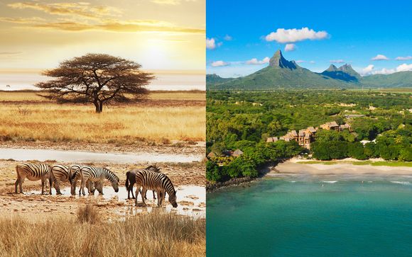 Combiné Réserve Privée et Johannesburg avec extension à Maurice