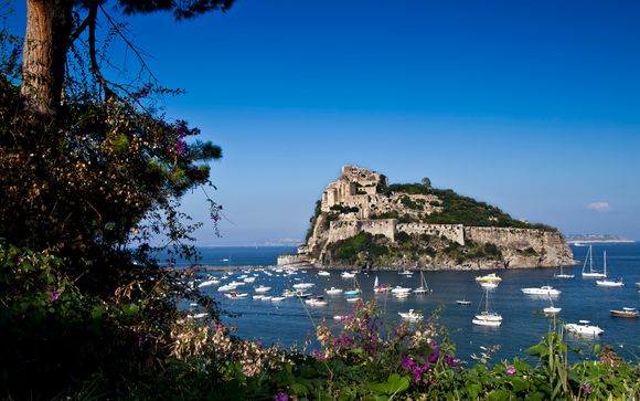 Vos excursions pour plus d