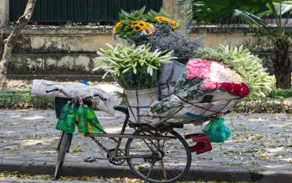 Vos excursions pour plus d
