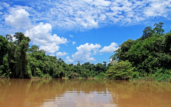 Rendez-vous... en Amazonie
