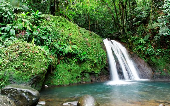 Rendez-vous... aux Antilles
