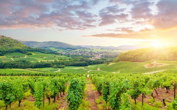 La route des vins : Hôtel Le Richebourg et le Château de Chailly 4*