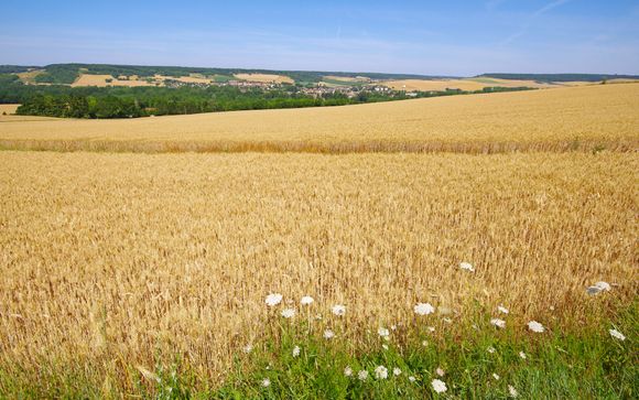 Rendez-vous... dans le Val d'Oise