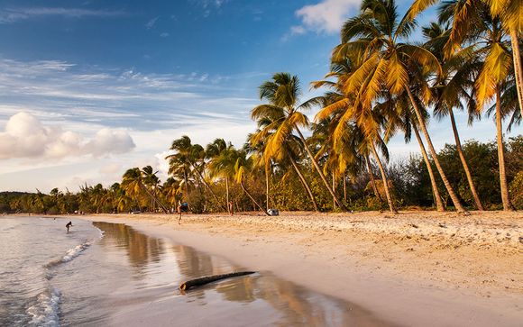 Rendez-vous... en Martinique