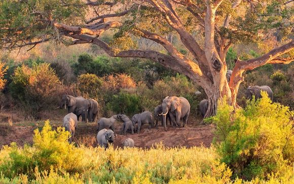 Rendez-vous... en Afrique du Sud