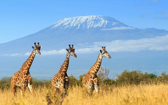 Circuit Merveilles du Kenya 10j/7n en 3 et 5* et séjour balnéaire possible