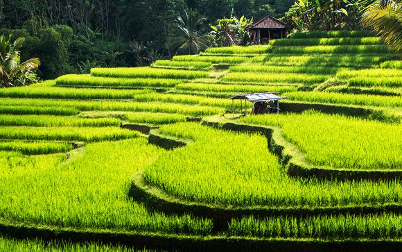 Rendez-vous... à Bali