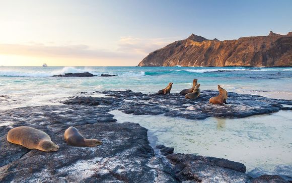 Circuit Découverte de l'Équateur et des Galapagos