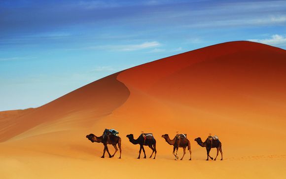 Circuit The Great desert of Morroco