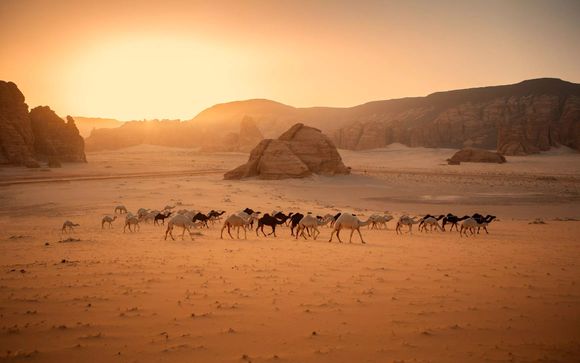 Benvenuti in Arabia Saudita!