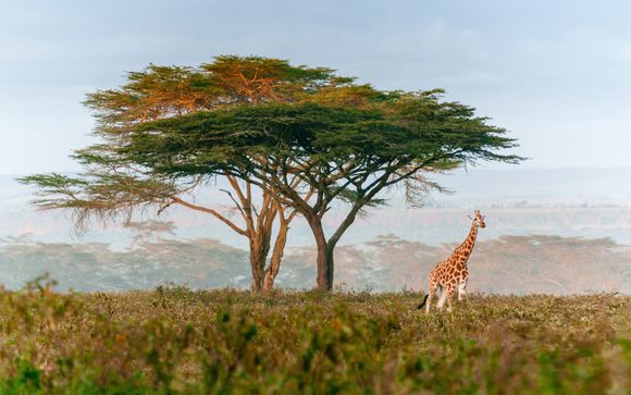 Le tappe del vostro itinerario