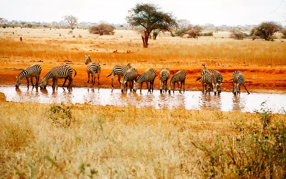 La vostra esperienza