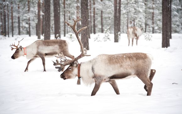 Le tappe del vostro itinerario