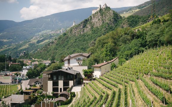 Weingut & Genusshotel Spitalerhof Superior