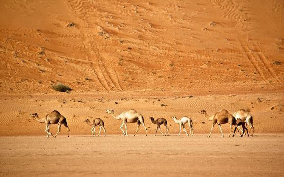 La vostra esperienza in breve